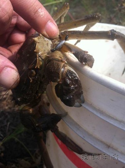 最让人心动的是:钓鱼的好日子来啦!_荣威550论