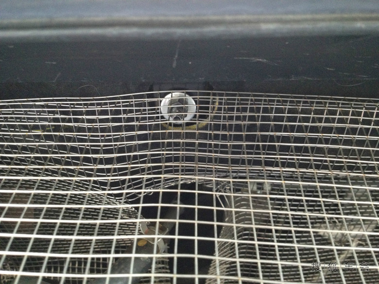 纯手工更新防猫网作业_RAV4车友会