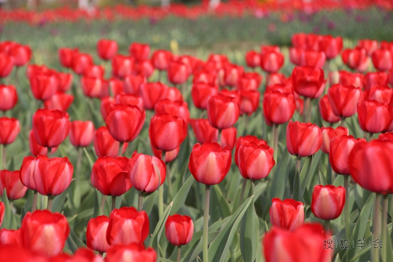 发几张照片挣点钱花花