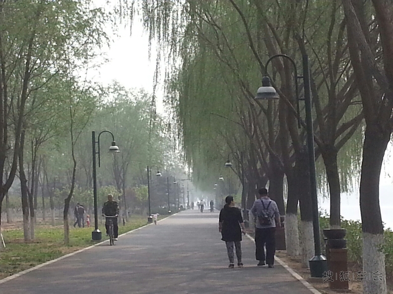 周日运河森林公园走起_北京通州车友会