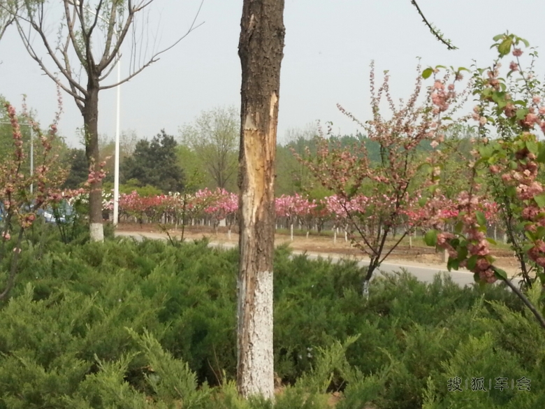 周日运河森林公园走起_北京通州车友会