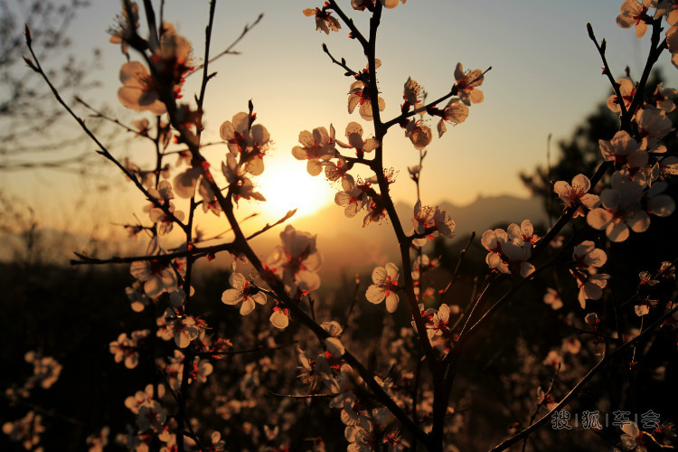 阳光下的金山岭长城_北京比亚迪S6