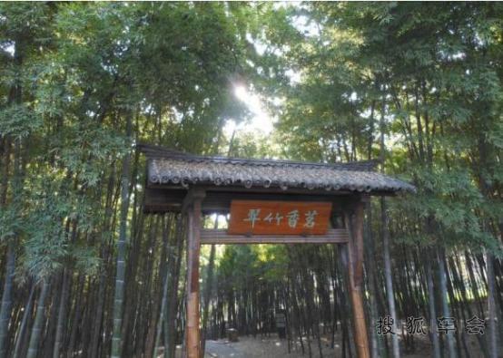 清明南京三日游,才上作业,希望不算太晚~_嘉年