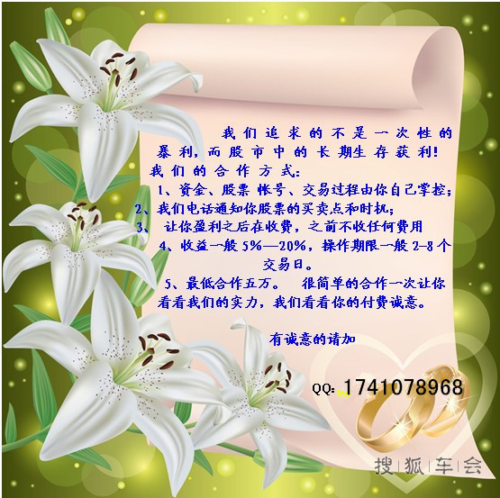 专业做股票 先盈利后付费