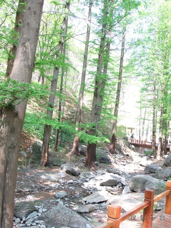 阳光明媚,鲜花盛开!春光灿烂的日子当然要去赏