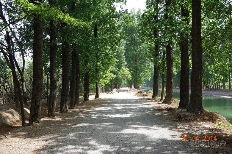 京密引水渠边_乐风-乐友队