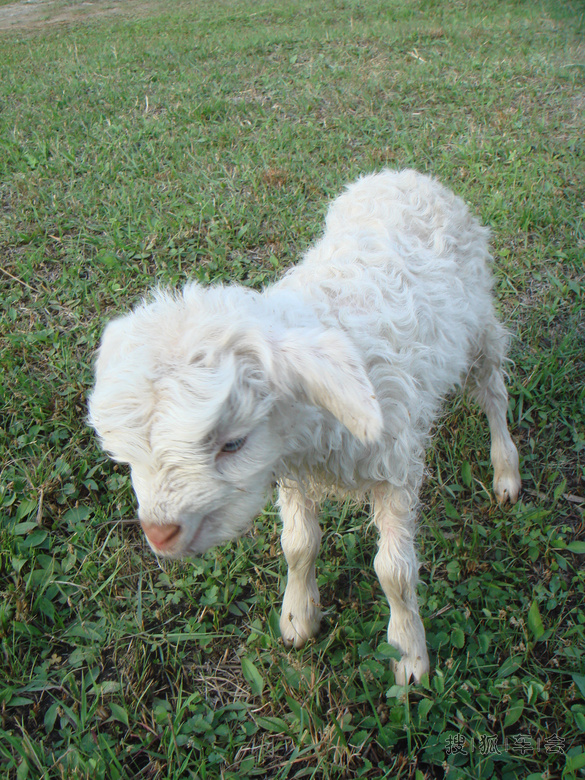 春意盎然小九寨