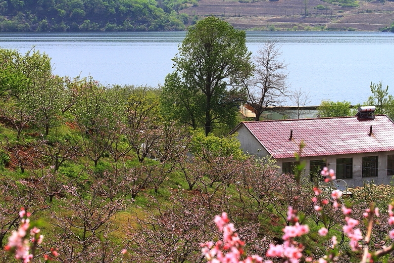 宽甸河口是在那桃花盛开的地方