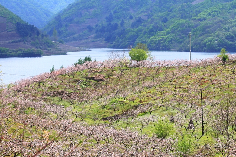 宽甸河口是在那桃花盛开的地方