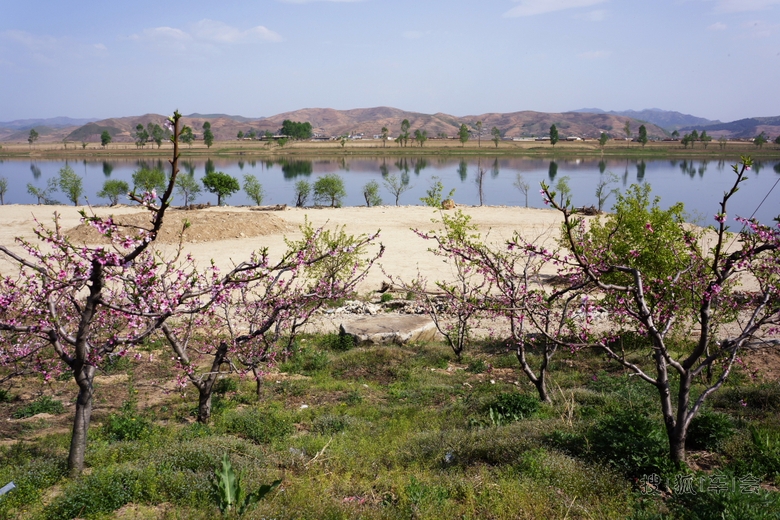 宽甸河口是在那桃花盛开的地方