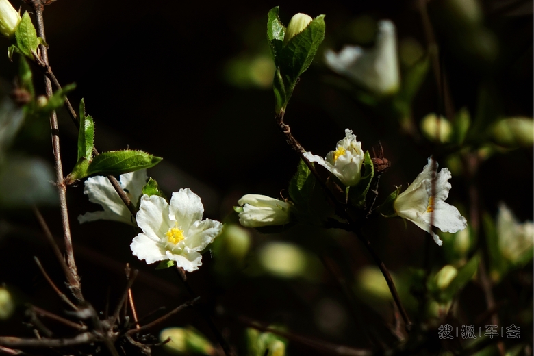 徒步忻州小九寨沟3(四季同美)