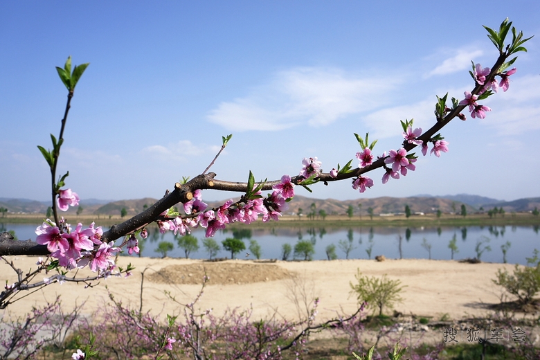蒋大为:宽甸,这里是桃花盛开的地方