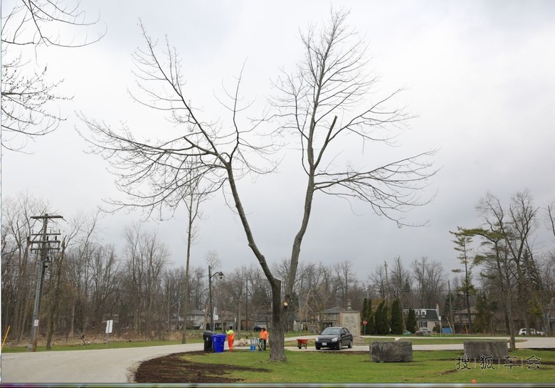 [苏车杂谈0504]五一在多伦多吉尔德伍德公园散