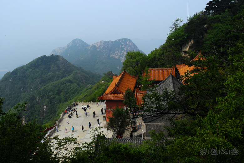 10700844.jpg_s780