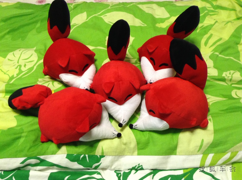 晒下我的狐狸窝_车窗世界_搜狐车友会