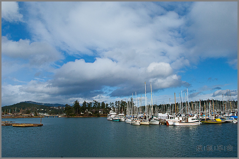加拿大温哥华岛悉尼镇