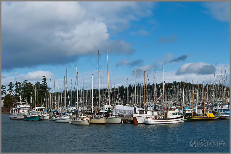 加拿大温哥华岛悉尼镇_搜狐-车影会