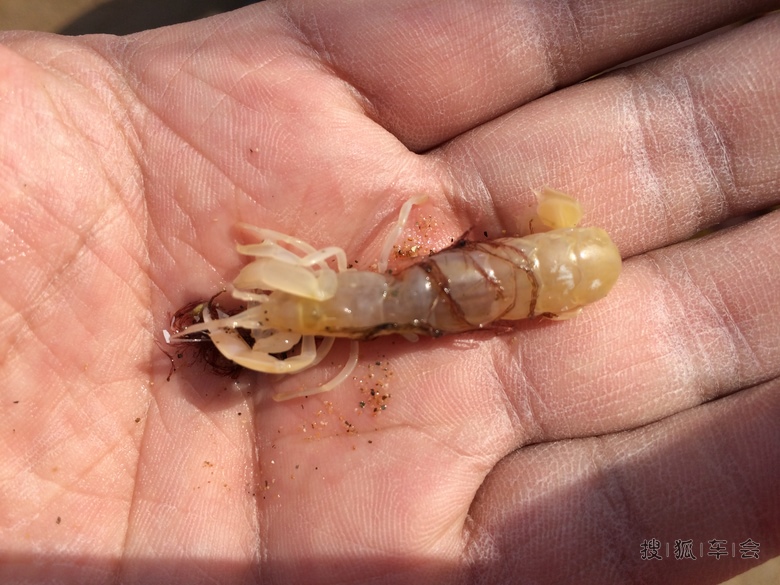 【护航未来】爱车清洗节气门及北戴河一日游_