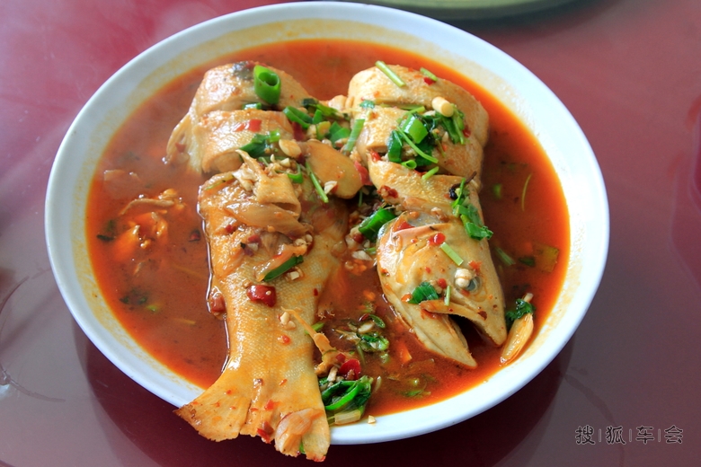 兜风赏春访亲戚,开怀品味农家饭