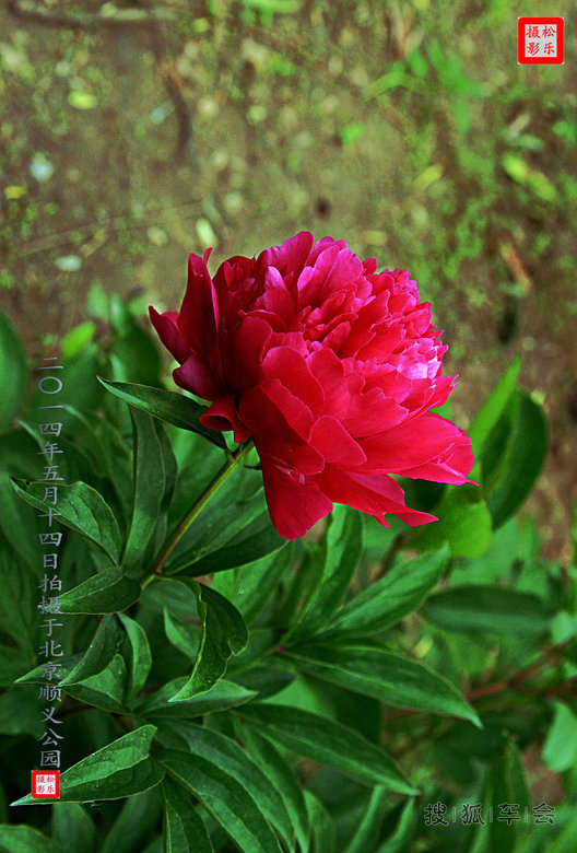 2014年5月14日星期三打卡