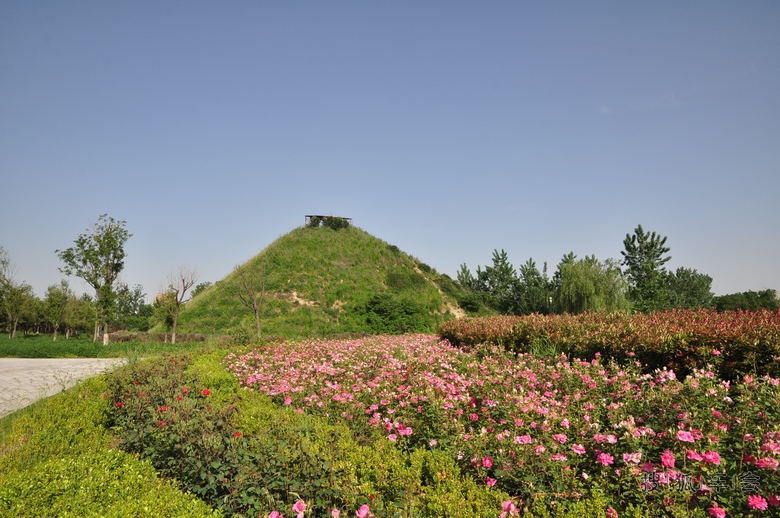 休闲打羽毛球--西安渭河生态园好去处!_汽车装
