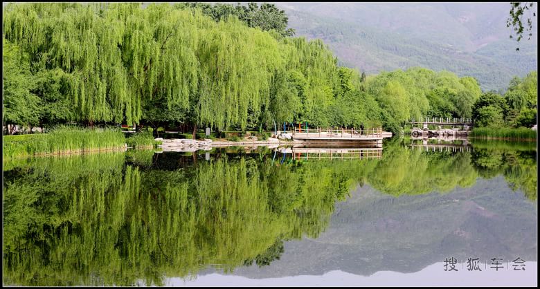 【抓住春的尾巴】鲜花.美景,无忧的童年