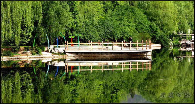 【抓住春的尾巴】鲜花.美景,无忧的童年