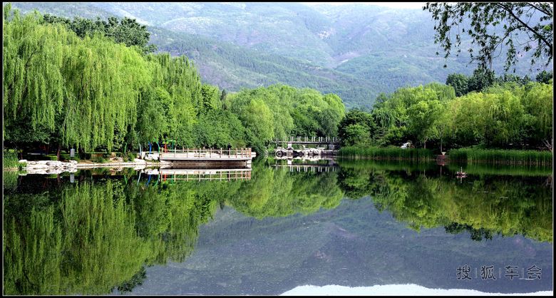 【抓住春的尾巴】鲜花.美景,无忧的童年