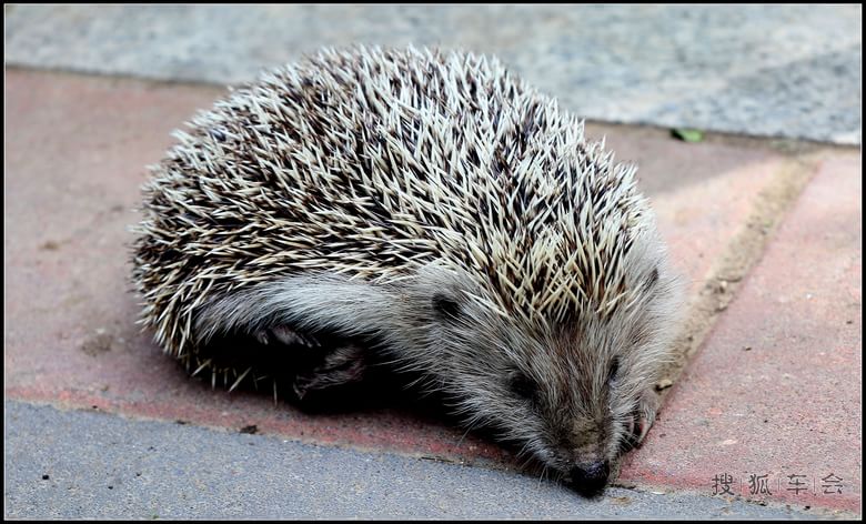 【抓住春的尾巴】鲜花.美景,无忧的童年