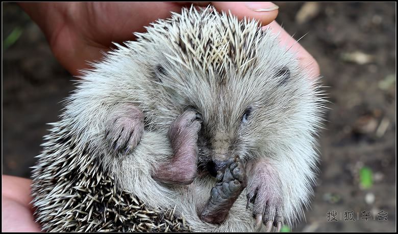 【抓住春的尾巴】鲜花.美景,无忧的童年