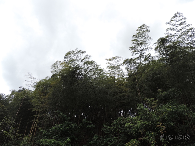 浙江安吉农家乐