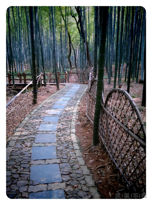 【手机版】昨天是好个日子_驾车旅游_搜狐车