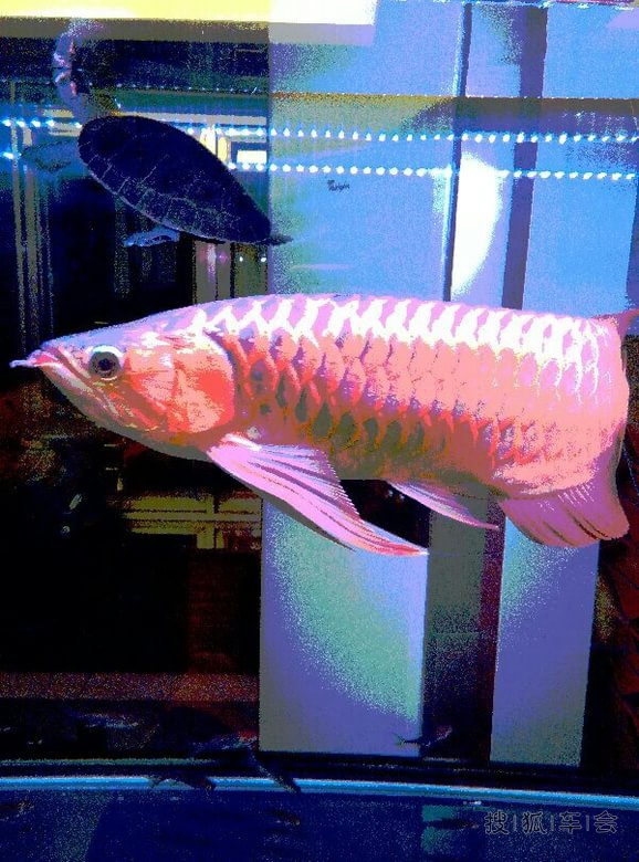 久违的感动--珍惜生活点点滴滴