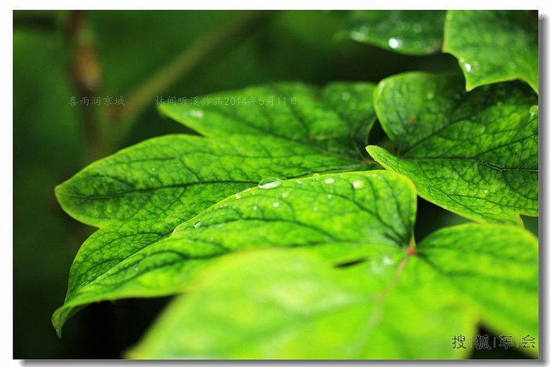 明天有雨,会是好天吗?_北京炫丽人生平车友会