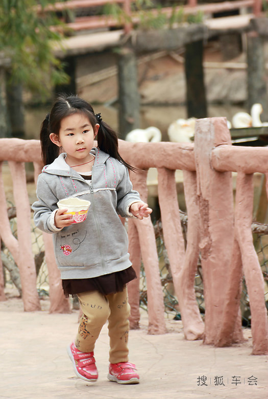 爸爸去哪――带小孩深圳周边放松一天游
