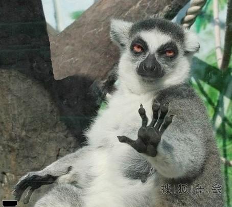 来,来,来:聊五毛的~_玩吧_搜狐车友会