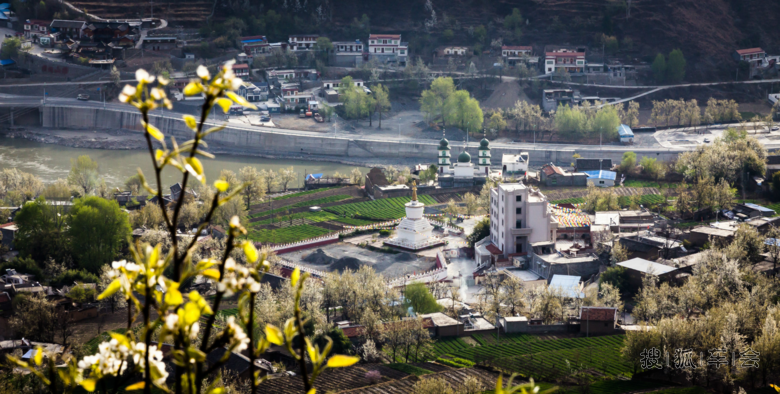 一路风尘带花雨,洋洋洒洒点凡尘---金川梨花季