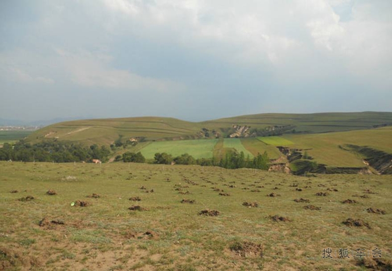 追逐--单枪匹马亲临坝上草原
