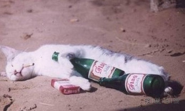 献给酒精考验的人们