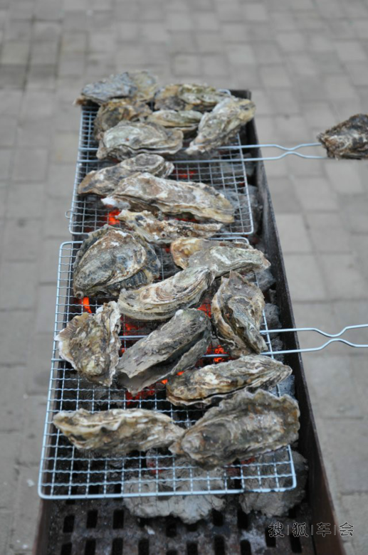 烟台汽车之家天籁车友会2014春季海边聚会,申