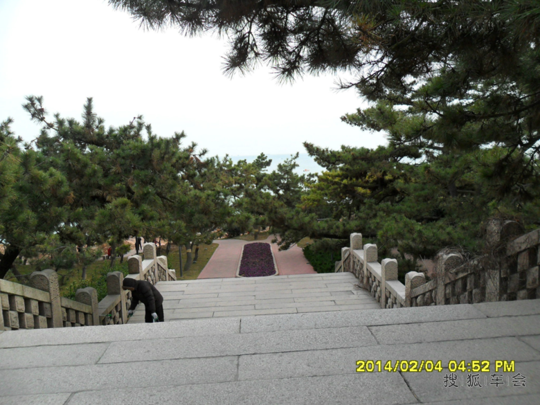 11112692.jpg_s780