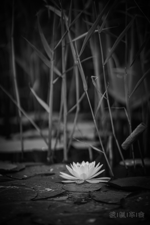 一张足已.[内涵片]_水云间户外_搜狐车友会