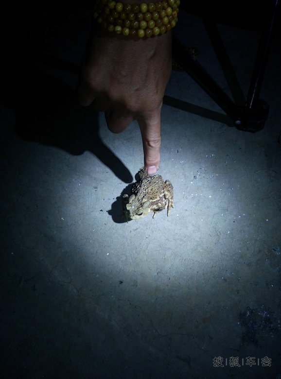 快乐端午怀柔白河湾露营烧烤_北斗星-星华社