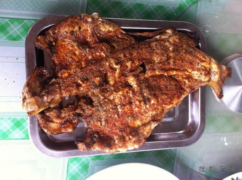 我来自首。偷偷组织小活动!十渡一日游!