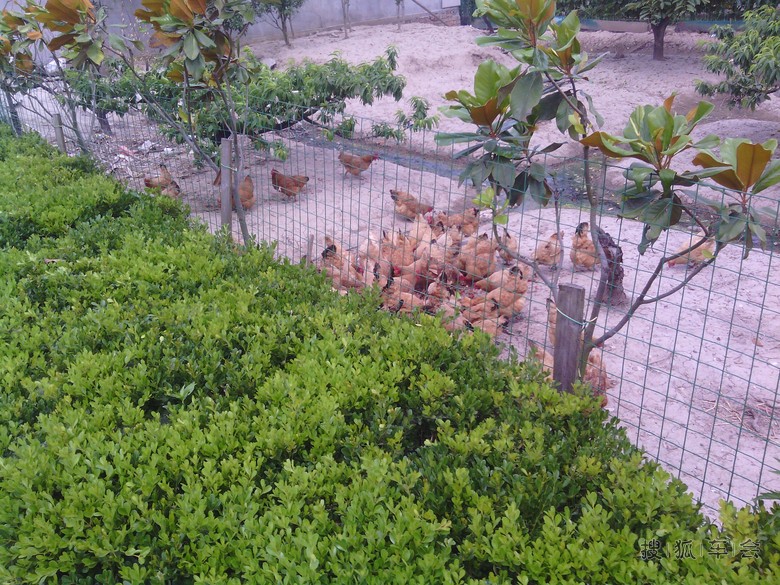 端午小长假自驾游上海周边的若田农庄