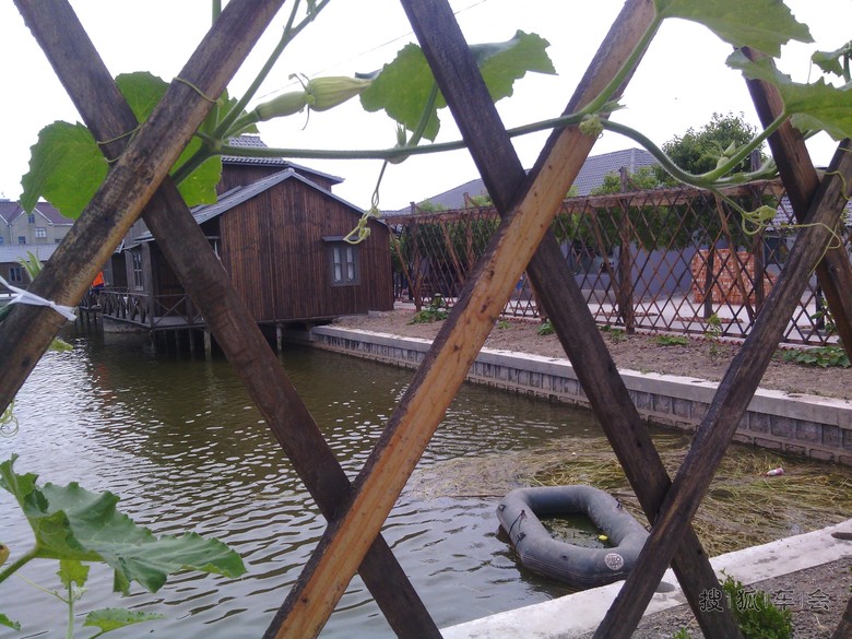 端午小长假自驾游上海周边的若田农庄