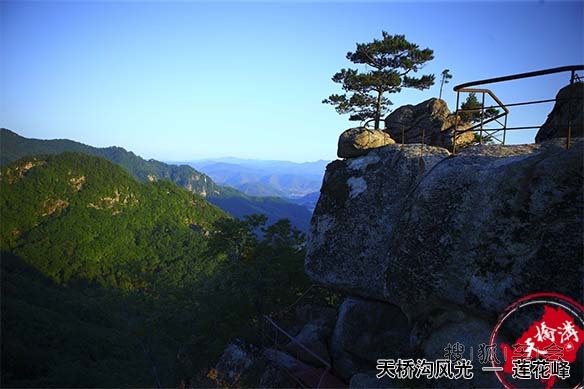 天桥沟森林公园