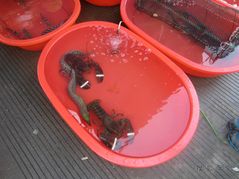 舟山东极岛享受美好的周末_奔腾B50论坛