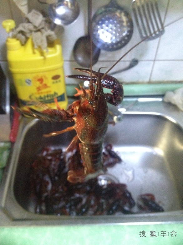 【好人990】好人私房菜一麻辣小龙虾_福瑞迪