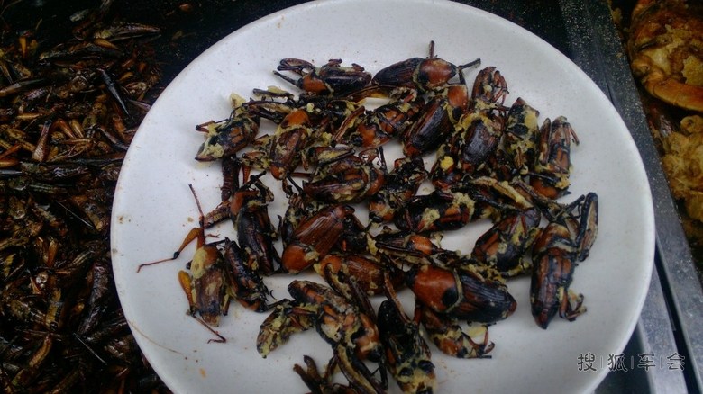 带着儿子去看雪(峨眉山游记)